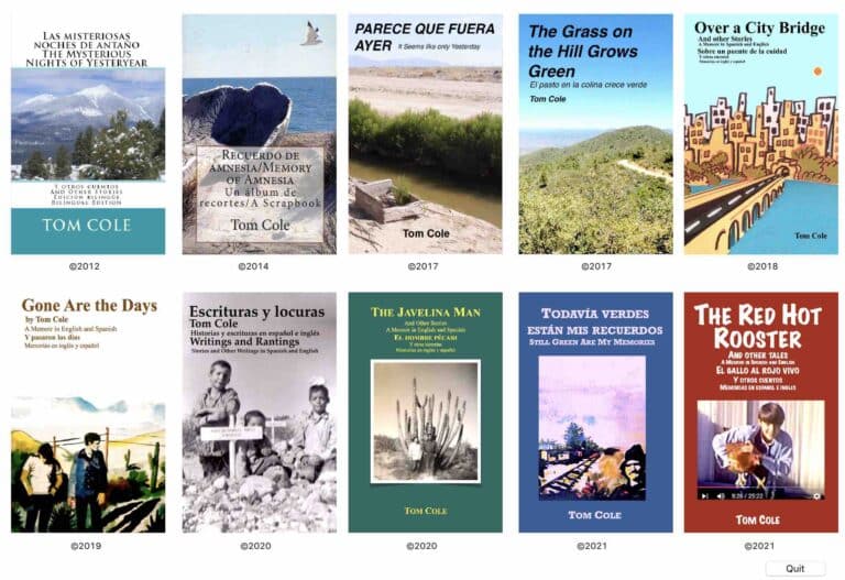 descubre como sacarle el maximo provecho a las tarjetas de free fire guia completa de utilidades